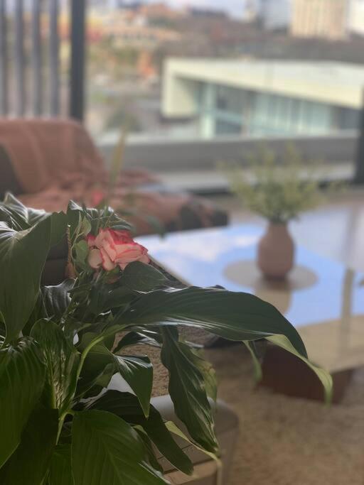 Carlton Stunning View Apartment 150M Away From University Of Melbourne Exterior photo